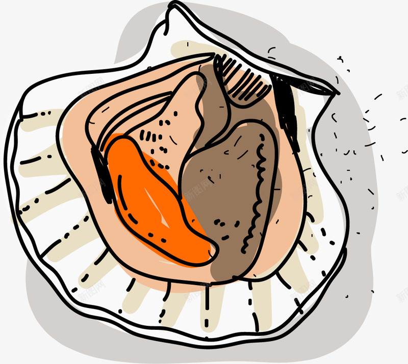 新鲜肉质卡通扇贝png免抠素材_88icon https://88icon.com 卡通 扁平风格 扇贝生蚝 新鲜的扇贝 新鲜肉质 生蚝 矢量生蚝