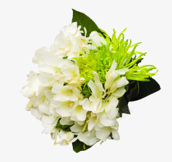 白色植物捧花素材