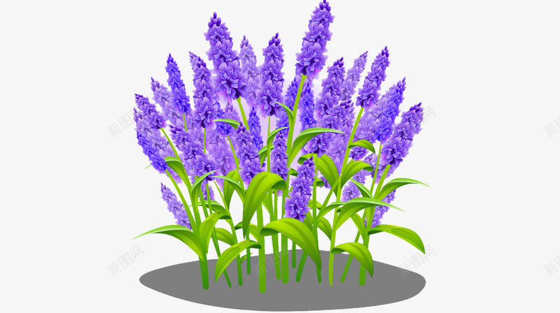 紫藤萝png免抠素材_88icon https://88icon.com 植物 紫藤萝 鲜花