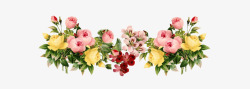 标题框装饰性花卉素材