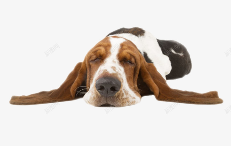 黑白可爱躺着的狗动物png免抠素材_88icon https://88icon.com 人类朋友 免扣 免费下载 动物 宠物 生物 睡觉 躺着 躺着的狗