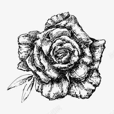 黑白插画黑白卡通玫瑰花手绘图标图标
