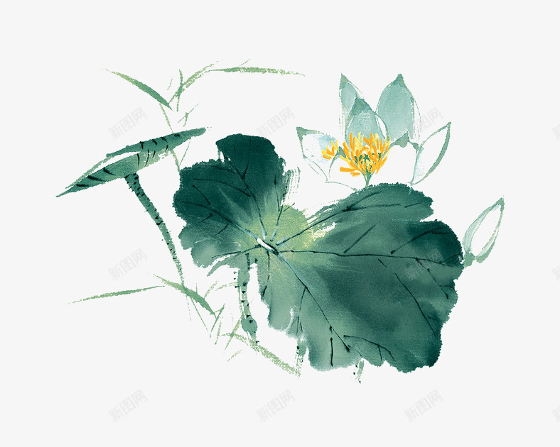 荷花插画png免抠素材_88icon https://88icon.com png 插画 荷花 透明