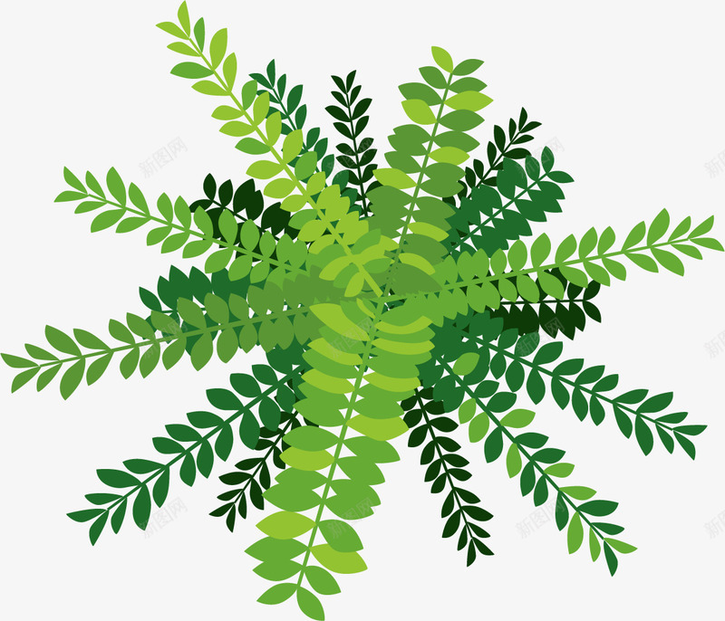 生长的绿色植物png免抠素材_88icon https://88icon.com ps植物平面贴图 卡通风格 平面 扁平风格 植物俯视图 生长 绿色