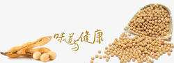 黄豆养生素材