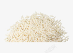 水彩卡通食物大米素材