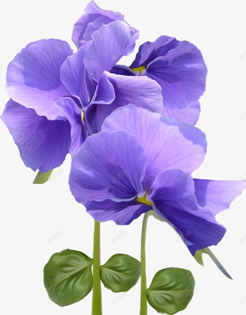 漂亮紫色花朵png免抠素材_88icon https://88icon.com 漂亮花朵 紫色鲜花 花枝 花瓣 鲜花