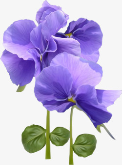 漂亮紫色花朵素材
