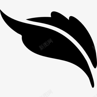 枣树叶子植物叶子的形状图标图标