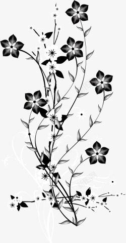黑白花朵树枝装饰背景素材