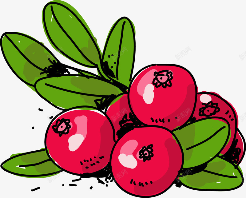 黑边描绘卡通蔓越莓矢量图ai免抠素材_88icon https://88icon.com 卡通蔓越莓 卡通风格 手绘蔓越莓 蔓越莓 黑边 矢量图