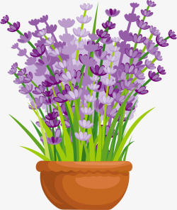 手绘创意紫色薰衣草植物素材