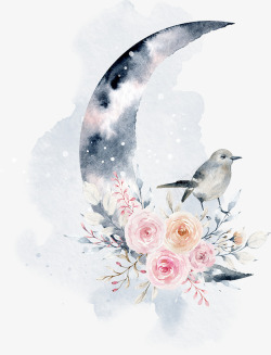 手绘月亮鲜花和鸟素材