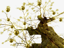 金色苹果树手绘金色苹果树高清图片