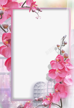 粉色花瓣背景边框素材