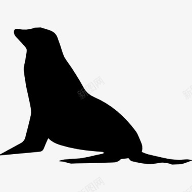 哺乳动物海豹形状图标图标