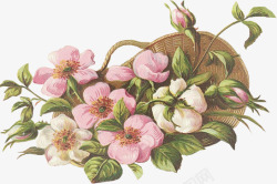古典手绘粉红鲜花花篮素材