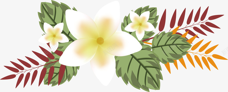 白色夏日花朵标题框png免抠素材_88icon https://88icon.com 夏日植物 植物标题框 热带植物 白色花朵 矢量png 精美植物