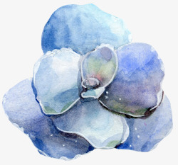 手绘创意蓝色花朵图素材