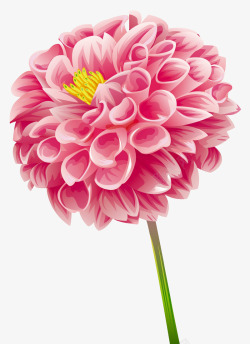 绽放的美丽粉色花球素材