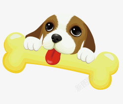 黄色狗狗吃骨头的小狗高清图片
