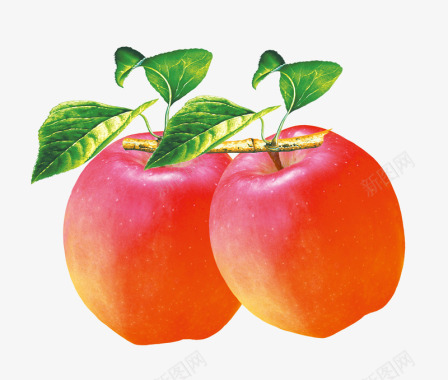 新鲜牛油果红富士苹果图标图标
