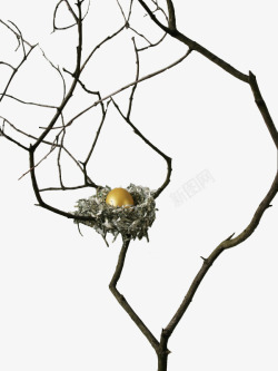 创意树丫上的鸟巢素材
