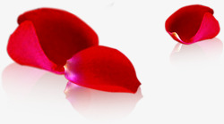 红色鲜花花瓣情人节素材
