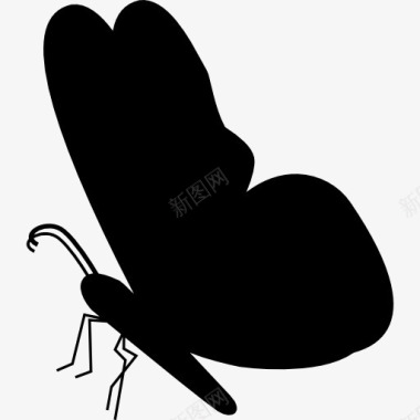 黑蝴蝶的形状从侧面图标图标