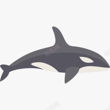 海洋逆戟鲸图标图标