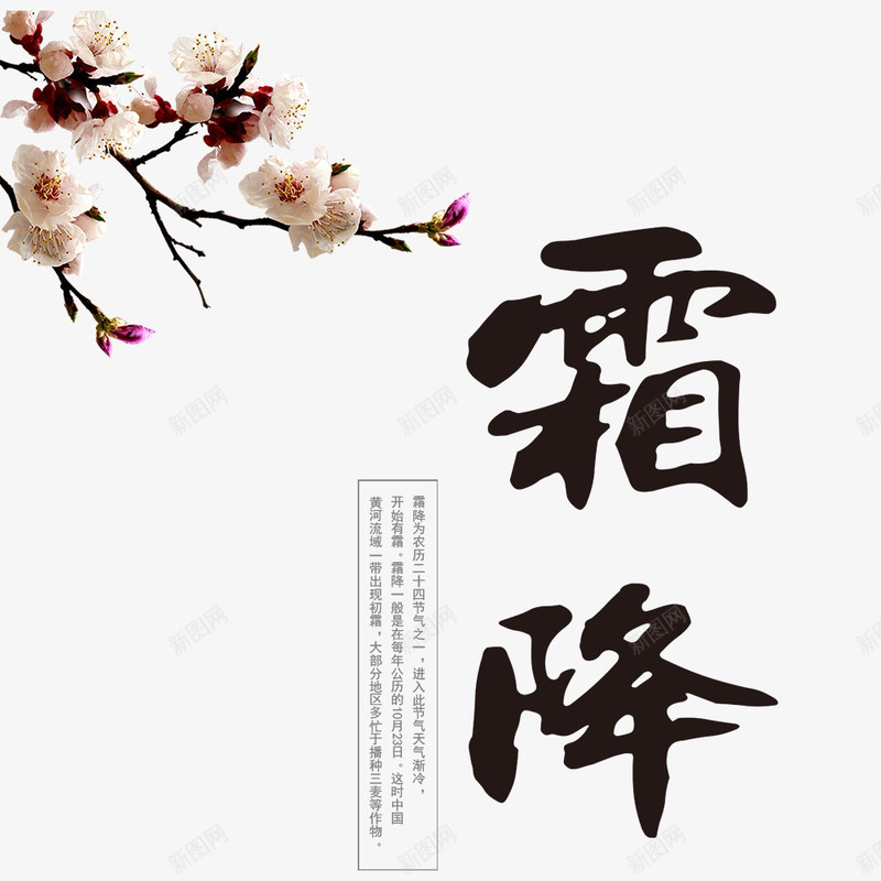 霜降海报psd免抠素材_88icon https://88icon.com 中国风 二十四节气 梅花 植物 海报标题 霜降