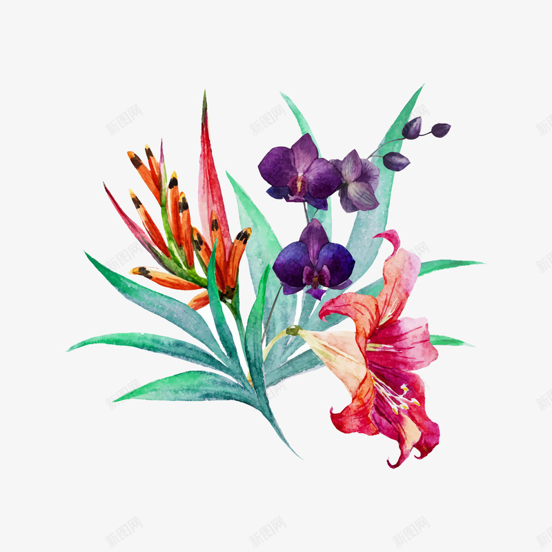 手绘鲜花花卉矢量图eps免抠素材_88icon https://88icon.com 300像素图 EPS图免抠 大图免抠 手绘 植物 花朵 高清免抠 鲜花 矢量图