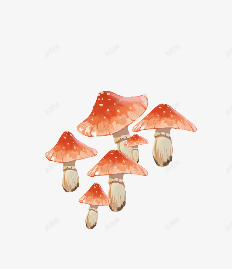 卡通橘红色手绘蘑菇png免抠素材_88icon https://88icon.com 动漫风格 卡通 手绘 植物 橘红色 菌菇 蘑菇