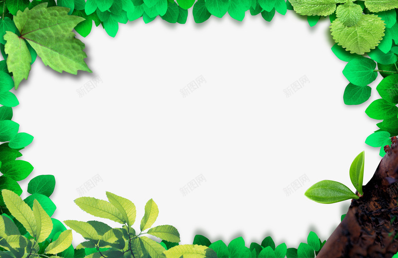 清新边框树叶边框png免抠素材_88icon https://88icon.com PSD 向日葵边框 树叶边框 植物相框 清新绿色相框边框 绿叶相框 藤蔓相框 鲜花相框