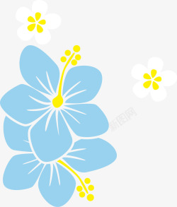 紫金花紫金花高清图片