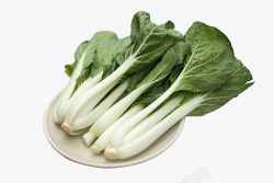 奶白天然有机蔬菜奶白菜高清图片