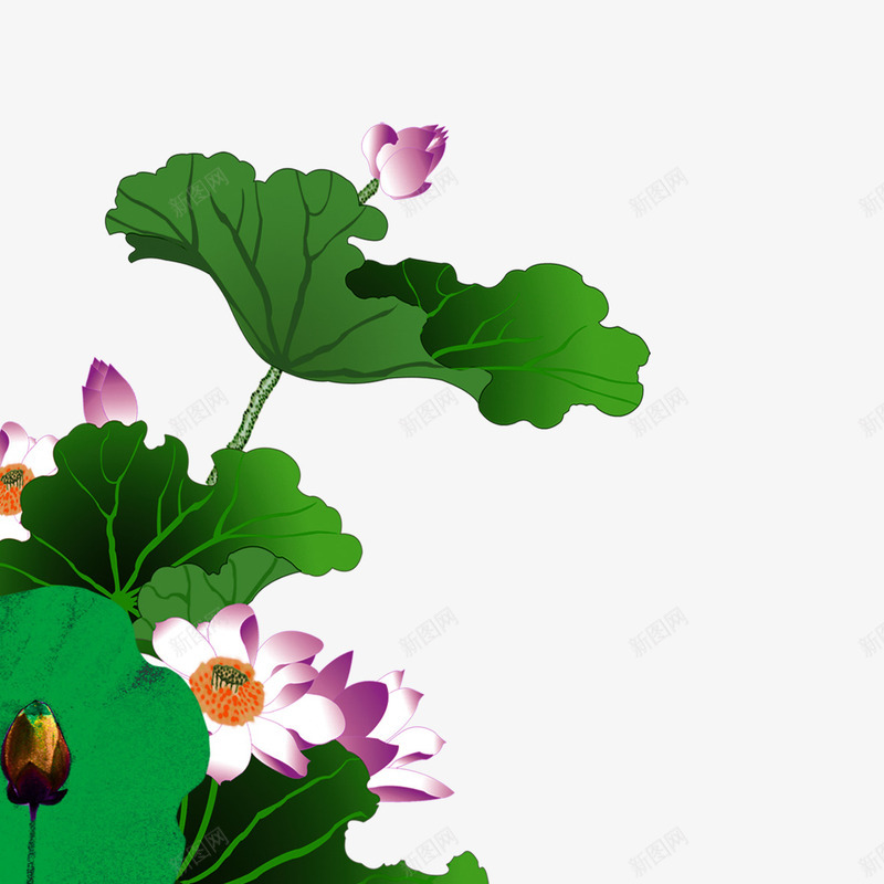 荷花psd免抠素材_88icon https://88icon.com 水中荷花 粉色 绿色 荷叶 莲花