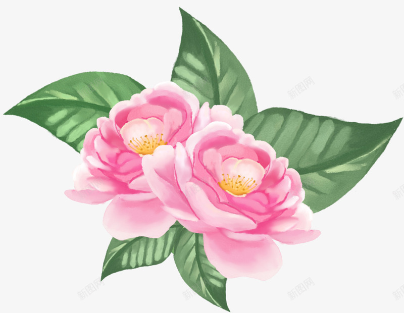 装饰手绘牡丹花psd免抠素材_88icon https://88icon.com 手绘插画 手绘鲜花 牡丹花 粉牡丹 花朵 装饰图案 鲜花