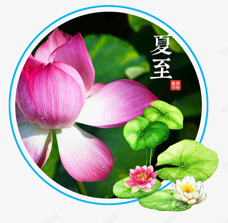 二十四节气夏至海报psd免抠素材_88icon https://88icon.com 二十四节气 夏季 夏至 海报 海报设计 清凉 节气 荷花