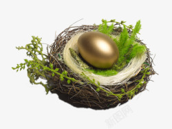 创意倒进马桶中的钱币创意鸟巢中的金蛋高清图片