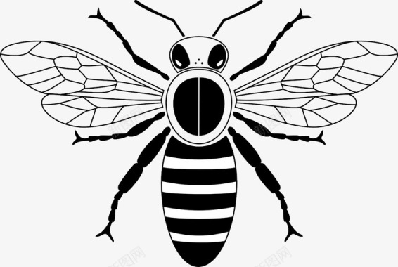 黄色蜜蜂黑白相间的小蜜蜂图标图标