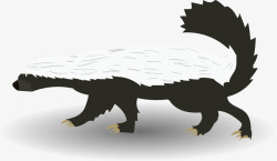 卡通蜜獾黑白色阴影蜜獾矢量图高清图片