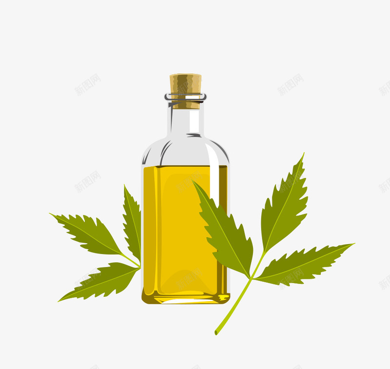 橄榄油矢量图ai免抠素材_88icon https://88icon.com 健康 化妆品 护肤 精油 矢量图