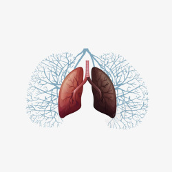 创意肺部公益广告插画素材