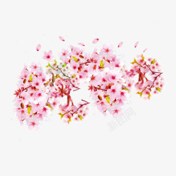 粉红色的花朵与花瓣图素材
