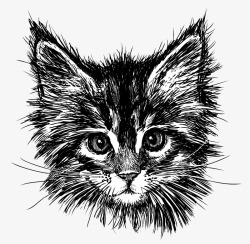 黑色手绘猫咪头像矢量图素材
