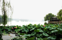 大明大明湖畔风景高清图片