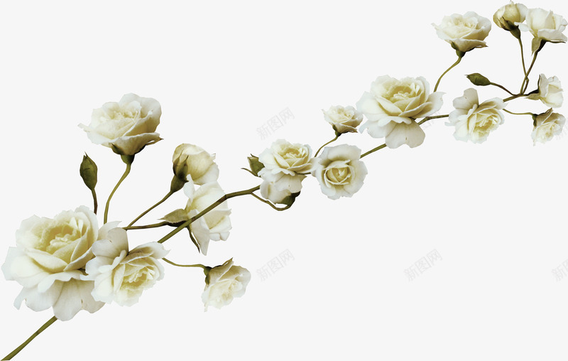 腊梅花枝png免抠素材_88icon https://88icon.com 树枝 腊梅 花朵 花枝 鲜花