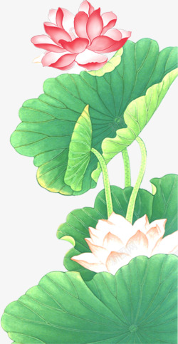 红色荷花元素素材