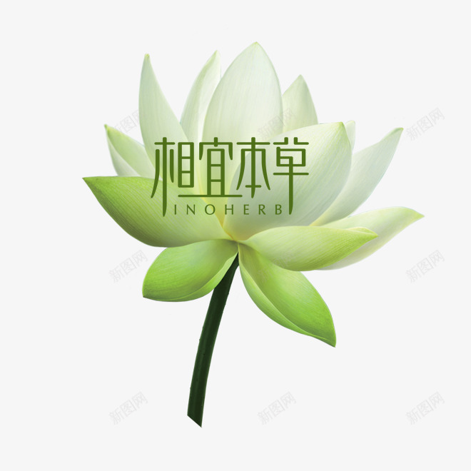 相宜本草png免抠素材_88icon https://88icon.com 本草标志 艺术字 鲜花